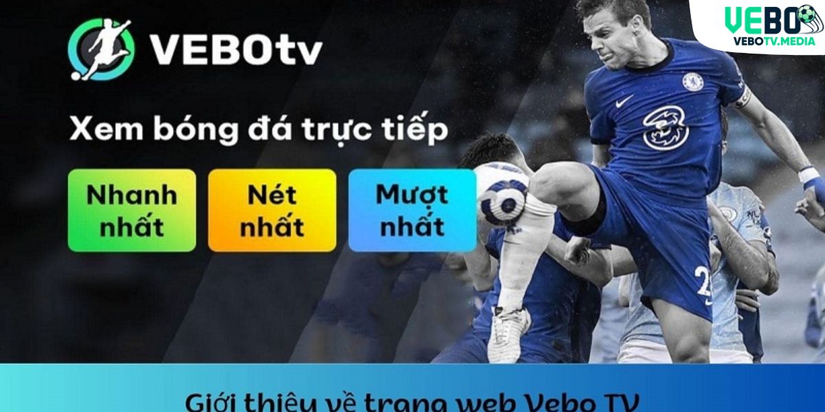 Sơ lược thông tin quan trọng về chúng tôi VeboTV